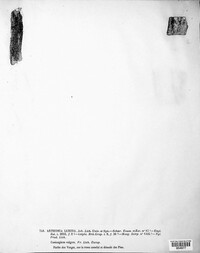Diarthonis spadicea image